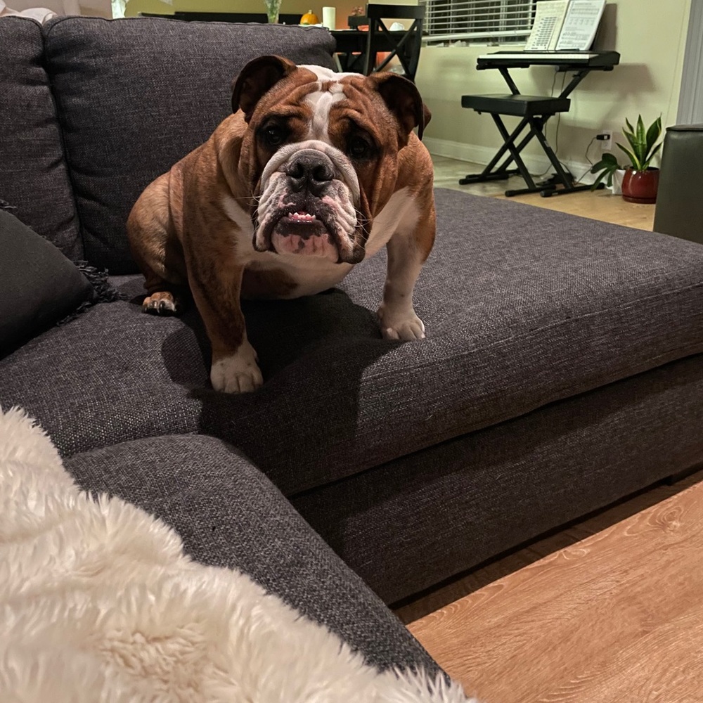 Meet your Posher, HES